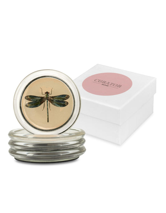 Curator Home Glass Drink Coasters | Set of 4 | Botanical Butterflies and Dragonflies