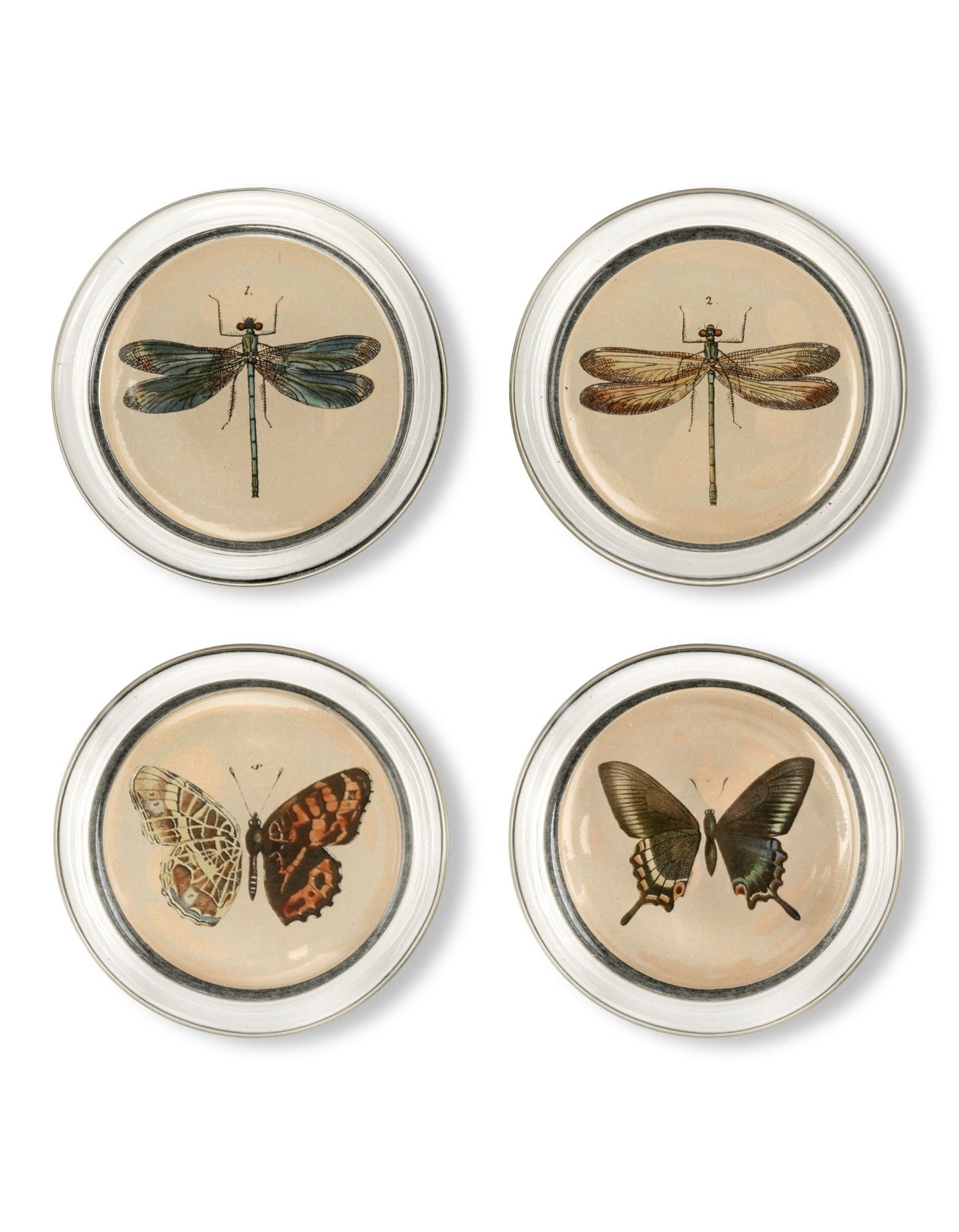 Curator Home Glass Drink Coasters | Set of 4 | Botanical Butterflies and Dragonflies